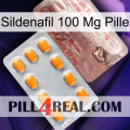 Sildenafil 100Mg Pill new13